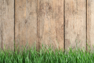 Fresh green grass near wooden fence. Space for text