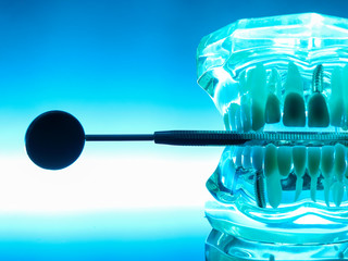 Clear Human Jaw With Teeth Model 5 © Rafa