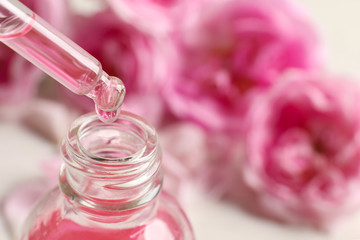 Dripping rose essential oil into bottle against blurred flowers on table, space for text