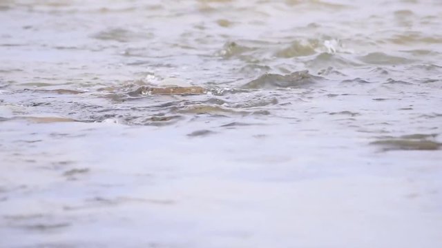 Gentle sound of ocean water slightly disturbed by the immoveable rocks as tide continues to drop lower.