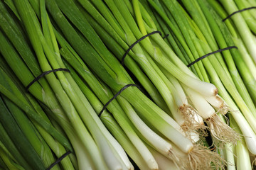 Bunches of fresh green onions as background, closeup view