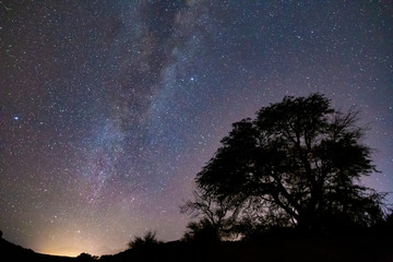 Obraz na płótnie Canvas La via lattea nel cielo stellato di San Pedro De Atacama, Cile