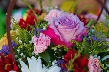 Purple, red flower picture close up in the bouquet.