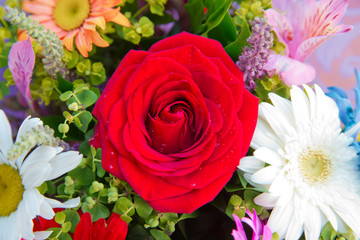 bouquet of multicolored roses . Red flower picture close up in the bouquet . Bouquet of fresh red, white , orange roses .