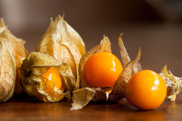 Physalis on Wood Table