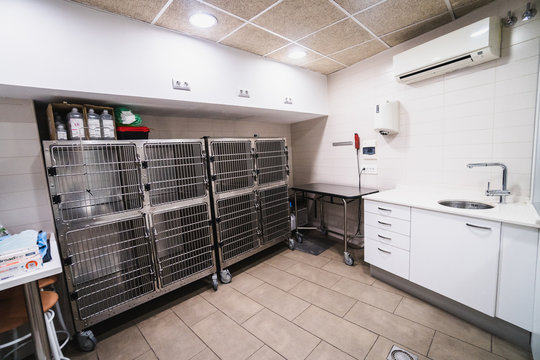 Animal cages in a hall inside a veterinary building
