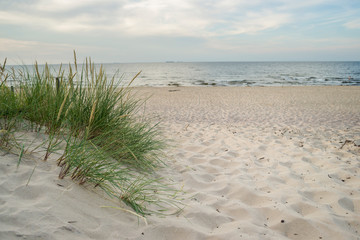 Fototapeta Plaża trawa i Morze Bałtyckie obraz