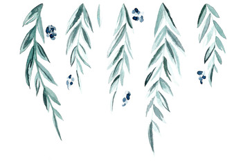 Obraz premium Green branches and leaves