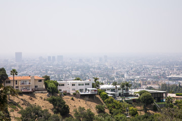 Hillside Homes with City in Background