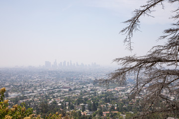 City with Skyscrapers in the Distance