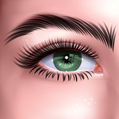 Fototapeta premium Beautiful green woman's eye, with long cilia, eye in realistic style, vector illustration