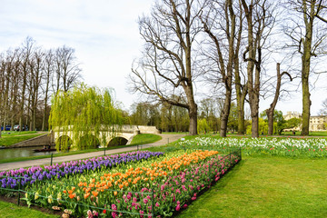Flowers and River Cam near Kings College in the city of Cambridge, United Kingdom and blooming flowers on the foreground