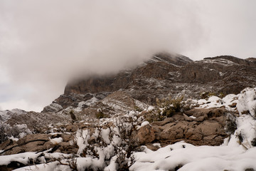 landscape of snow covered desert mountains