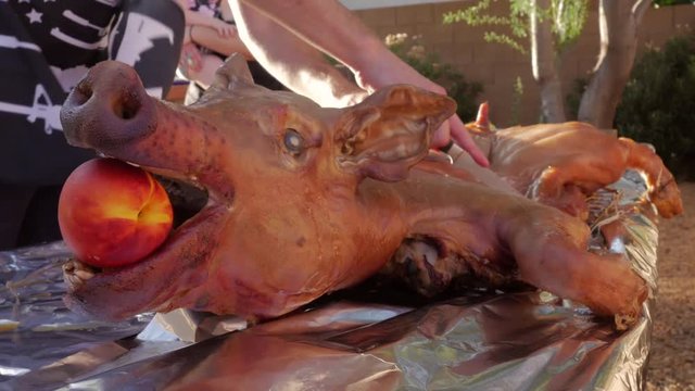 Man cutting the skin on a whole roasted pig. Chef using a knife to butcher an entire suckling pig with an apple in its mouth. Low angle of hog roast represents summer bbqs and farm to table lifestyles