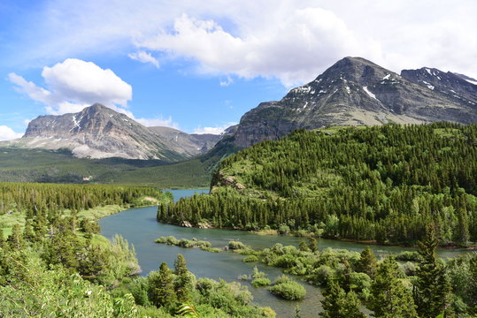 Green Mountain Dramatic Large Trees Park  Spring