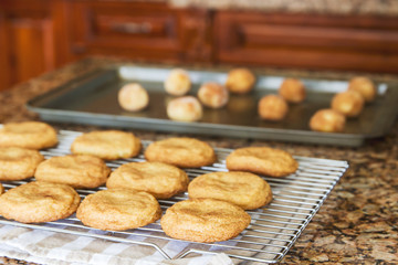 Cookies on a cookie sheet ready to go into oven and baked cookies cooling; fresh warm homemade...