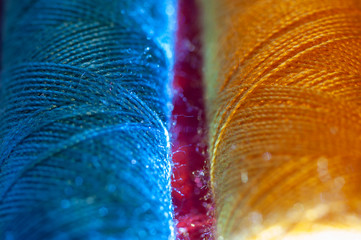 Sewing material in light.