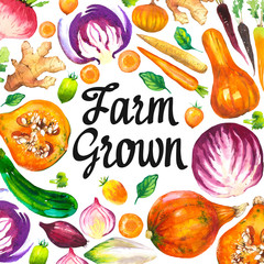 Watercolor illustration with round composition of farm illustrations. Vegetables set: pumpkin, zucchini, onion, tomato, cabbage, broccoli, beets, carrots, ginger, plum. Fresh organic food.