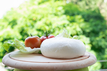 Mozzarella cheese and cherry tomatoes with salad outdoor