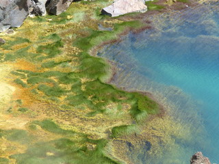 blue lake with green and yellow grass