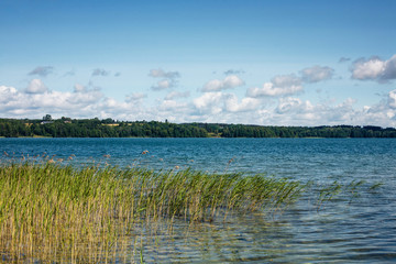 Summer lake in forest landscape. Blue cloudy sky over water surface panoramic view.