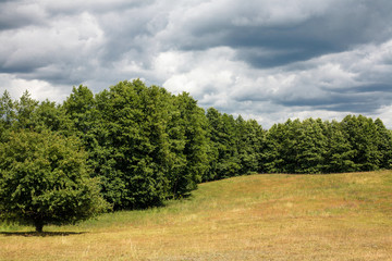 Stormy clouds weather sky over green forest and idyllic meadow landscape.