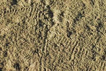 beach sand