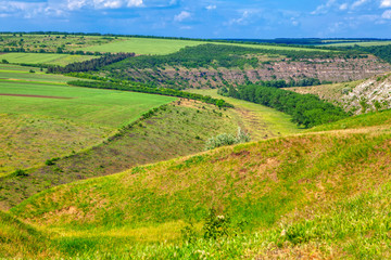 Fototapeta na wymiar natural beautiful landscape with green fields