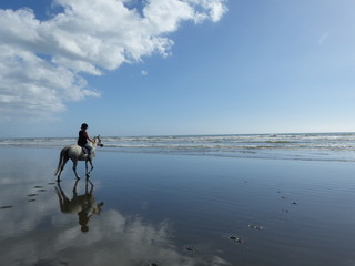 woman on a white horse at the beach