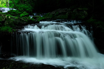 Fototapeta premium 夏の小黒滝