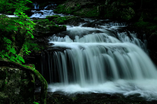 夏の小黒滝 © yspbqh14