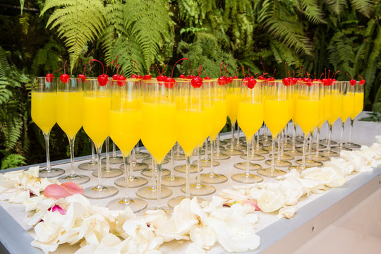 Refresh Concept. Bunch of mimosa cocktail set up with a Cherry for the guests at a wedding reception. Champagne with orange juice alcohol drink.
