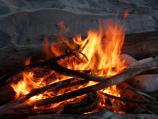 wood fire on the beach