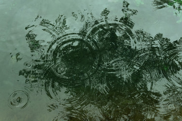 circles from raindrops on the surface of the pond