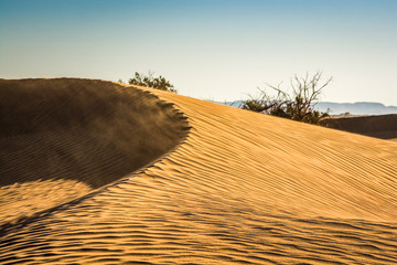 Sand dunes in Erg Chigaga, MHamid, Morocco