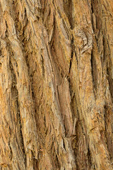 background of old brown wood