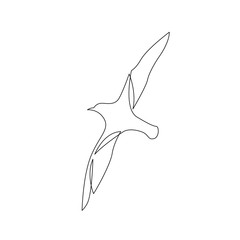 continuous line drawing of flying sea bird