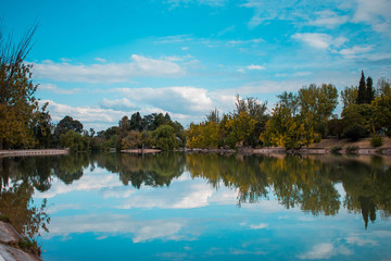 Espejismo de árboles y cielo