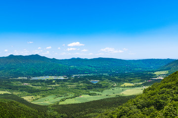 春の新緑の高原の牧場 © masahiro