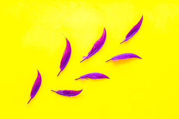 colorful feathers pattern on yellow background top view copyspace