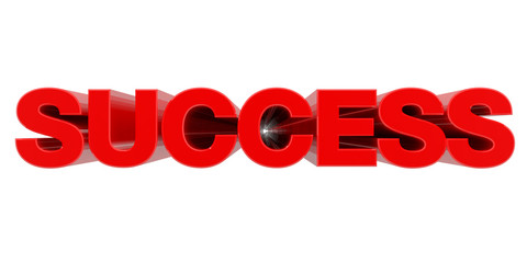 SUCCESS word on white background 3d rendering