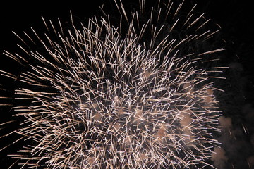 夜空に広がる花火