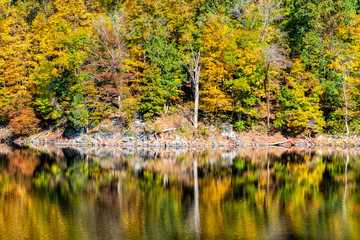 Great Falls trees reflection in canal lake river during autumn in Maryland colorful yellow orange leaves foliage by famous Billy Goat Trail