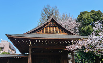 Ancient temple with cherry flowers