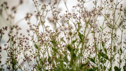 Día exterior naturaleza