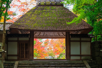 京都　法然院山門と紅葉