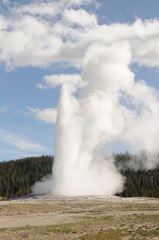 old faithful