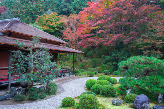 68 Best 曼殊院 Images Stock Photos Vectors Adobe Stock 68 Best 曼殊院 Images Stock Photos Vectors Adobe Stock