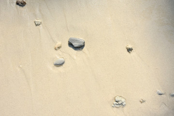 Fototapeta na wymiar Beach sand background. Gravels, coral fragments and shells on fine soft sand for background.
