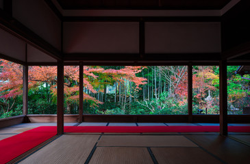 京都　宝泉院の紅葉